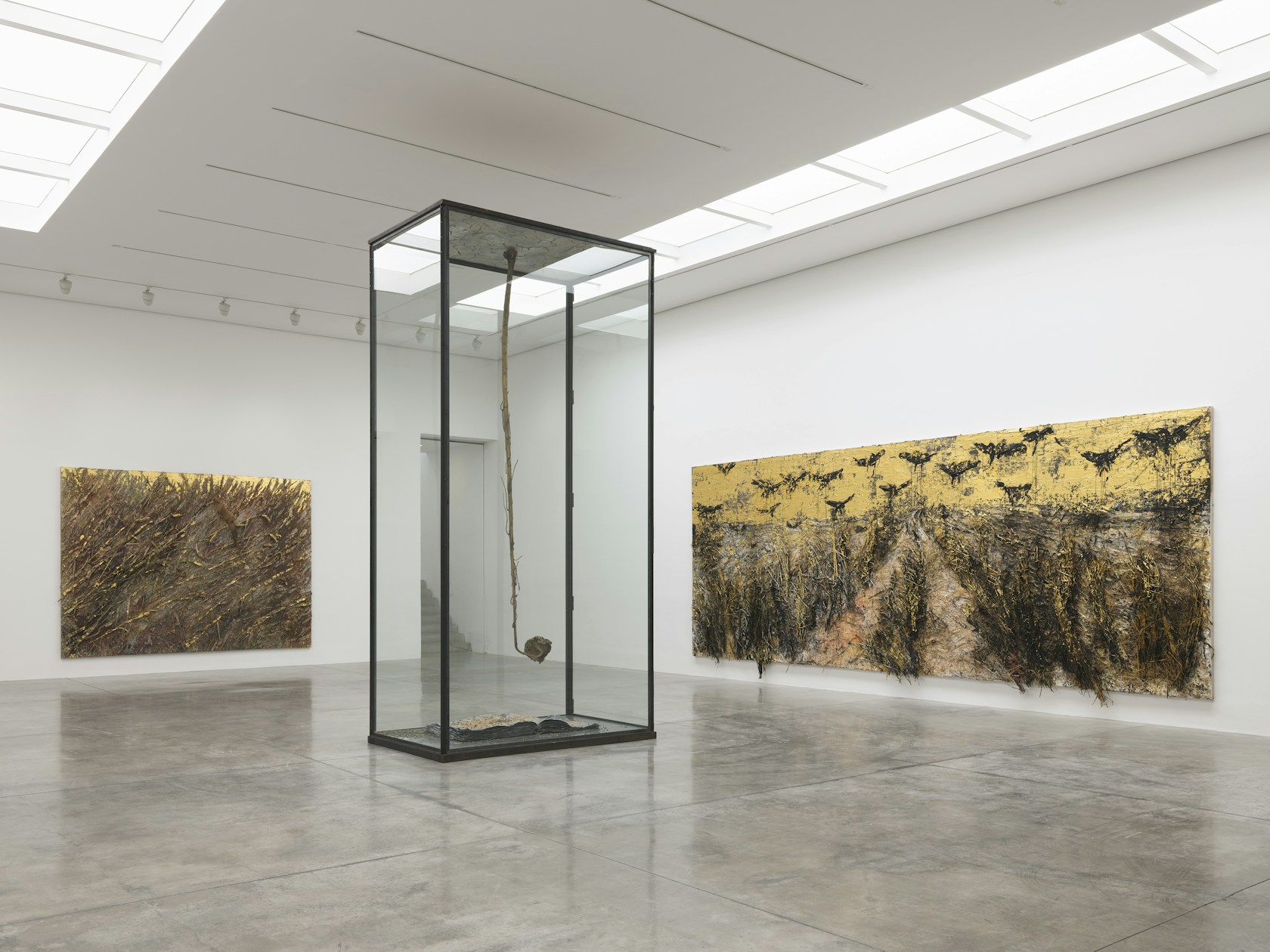 Install Shots Anselm Kiefer 1